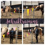 Activiteiten